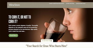 20個簡約的電子商務網站設計